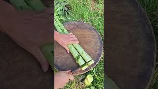 CC 5544332211 mini rotary tilling and riding all-in one tree 🌳   short view