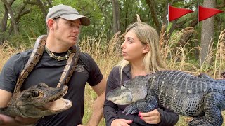 Alligator Experts share thoughts on viral “Albert the New York Alligator”