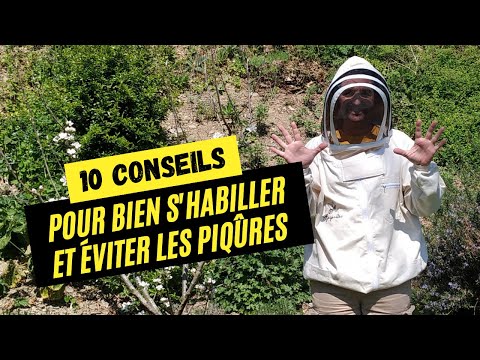 Vidéo: Vous vous faites piquer par l'apiculture ?