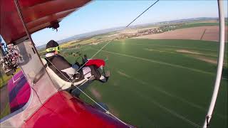 Dingo Mini3  2     01-05-2026