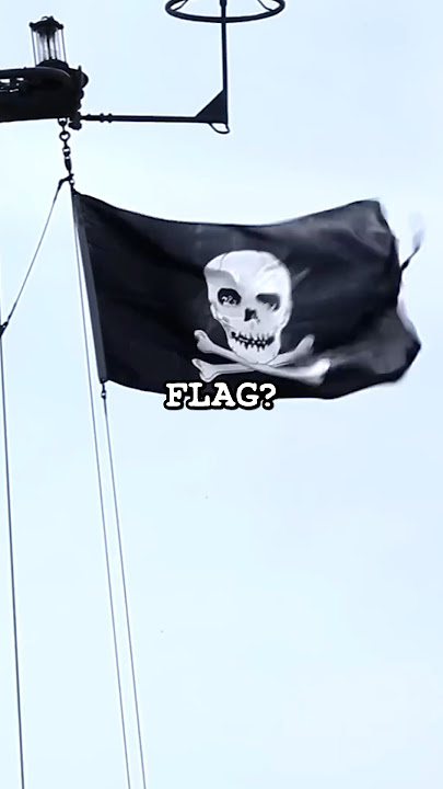 The Only Navy Ship with this Flag