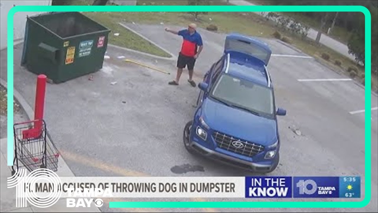 Florida man accused of throwing dog in the trash - YouTube