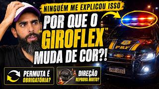 Por que o giroflex muda de cor/Permuta é obrigatória/Direção reprova muito