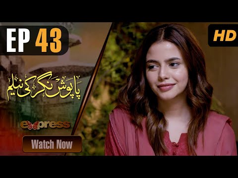 Paposh Nagar Ki Neelam — Episode 43