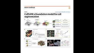366-CellSAM：用于细胞分割的通用基础模型