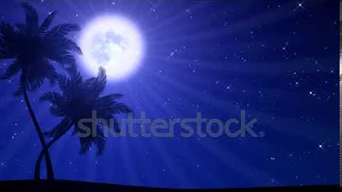 palm trees swaying in the wind with moon animated hd backgroun