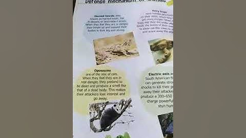 Class-3 GK Defence mechanism  of animals   31/07/20