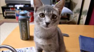 あたしの街 明日の街 歌詞 高橋瞳 ふりがな付 歌詞検索サイト Utaten