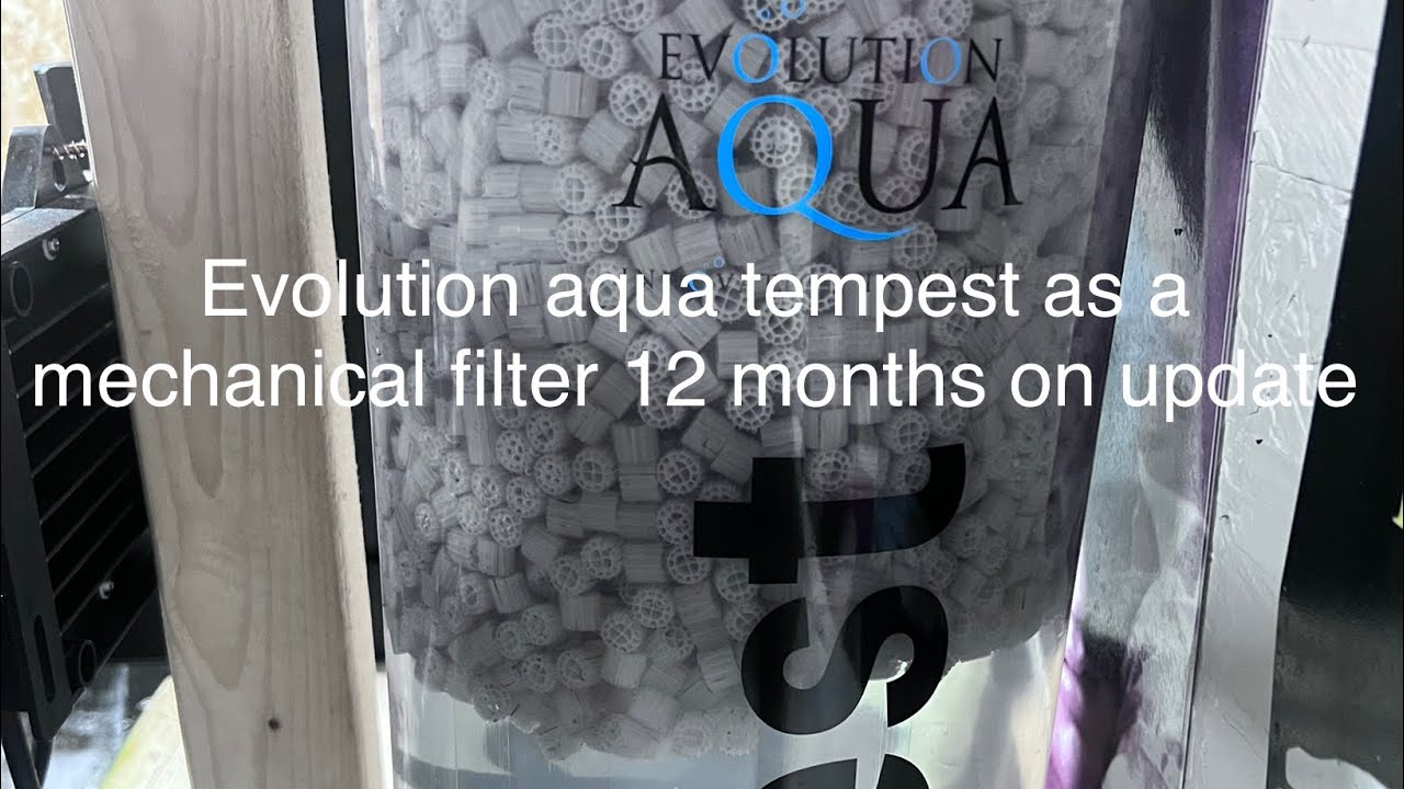 EA TEMPEST as main Koi mechanical filter for 70 koi running for 12 months tried and tested