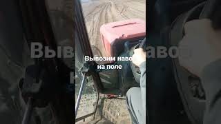 вывоз навоза на поле