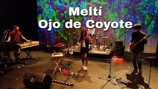 Meltí Ojo de coyote