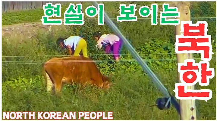 21세기를 사는 북한, 생활물자를 조달하는 여군들, 경사를 치르고 난 일행, 반세기를 달린 붉은기 5241호 기차, 유난히 세련된 외모의 여성, 야생 열매를 따 먹는 아이들