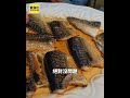 澎湖自助餐鯖魚長蛆 民眾開便當被嚇壞 #shorts