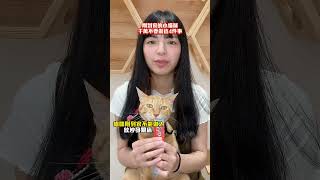 新到家的小貓咪絕對不能做這4件事！新手貓奴必知