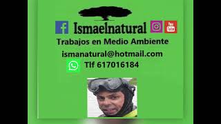 +100 buceos en la cuenca del Ebro, Ismaelnatural