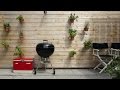 Exterior Design — 6 Budget-Friendly Backyard Decorating Ideas Exterior Design — 6 Budget-Friendly Backyard Decorating Ideas