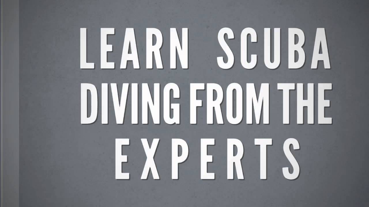 ASIA DIVERS DIVE SHOP