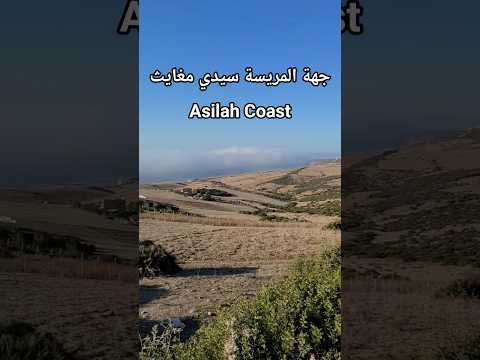 ضباب كثيف يخيم على شواطئ قبيلة الساحل بين أصيلة و العرائش