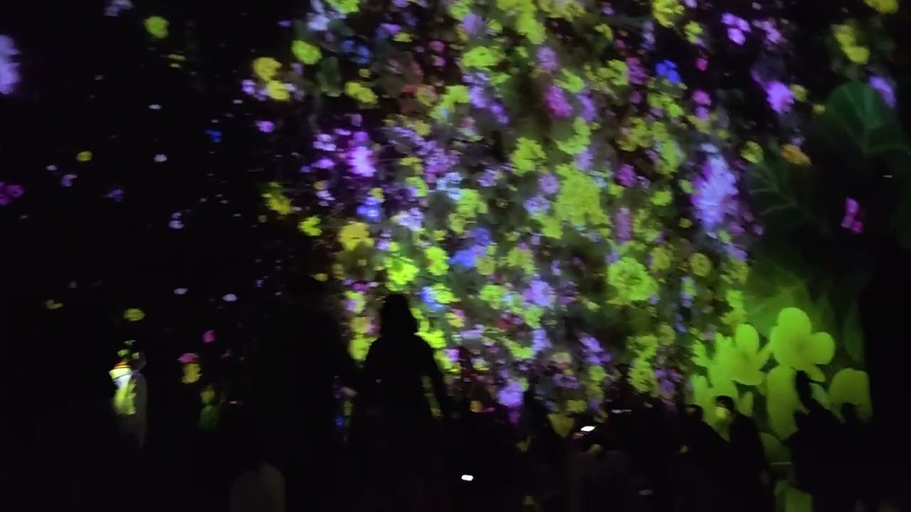 Mesmerizing Flower Art Installation TeamLab Planets Tokyo