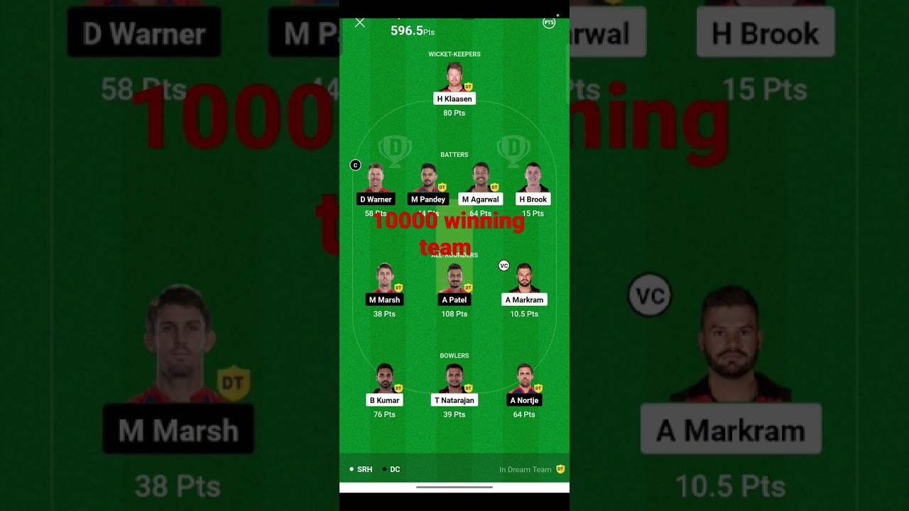 💸10000 WINNER  BY DC VS SRH DREAM 11 WINNER 