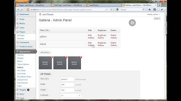 Codecanyon [ThemeForest - Blender WP Theme] - Add slider, video to header & message below