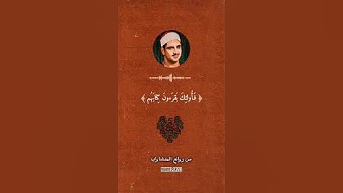 #آيات بينات من الذكر الحكيم #القرآن الكريم  #shots
