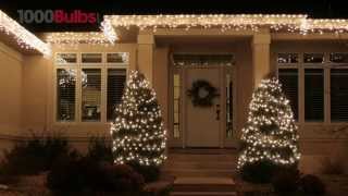 50 Mini Lights - 17-Ft. Stringer - White Wire - Commercial Duty - Clear 100 Clear Mini Lights White Wire 50 Ft Stringer