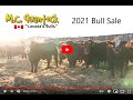 2021 mc quantock bull sale preview