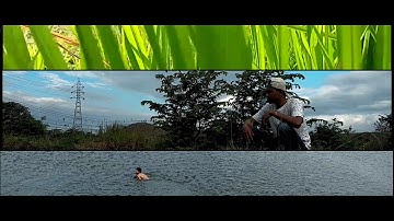 Lestari Alamku - Gombloh (Unofficial Music Video)