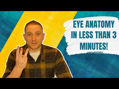 Eye anatomy in less than 3 MINUTES!