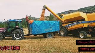 Buğday Biçme