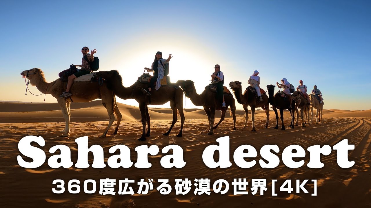 4K] Simply Gazing at the Spectacular Sahara Desert from Camelback