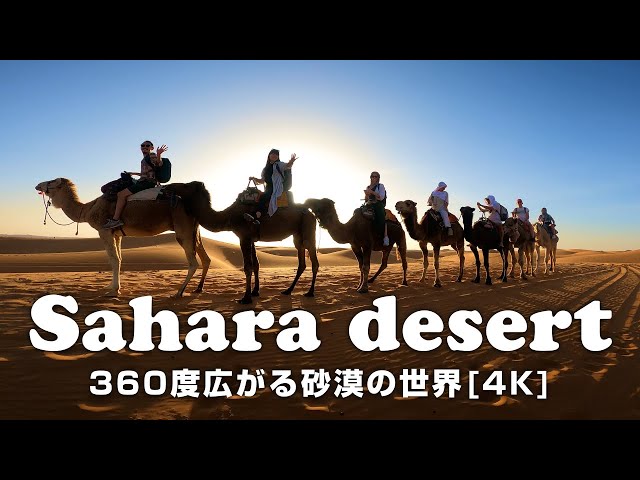 4K] Simply Gazing at the Spectacular Sahara Desert from Camelback