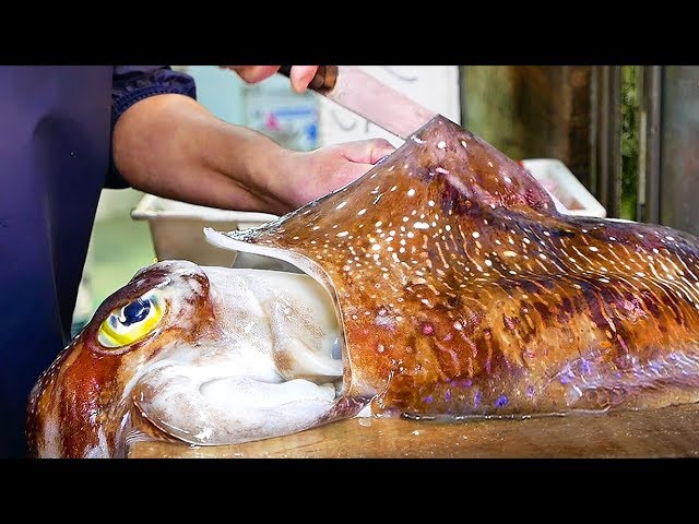 Nhật Bản thức ăn đường phố - Khổng Lồ Cá Mực bạch tuộc