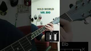 Wild World - Mr. Big (acoustic guitar tutorial)