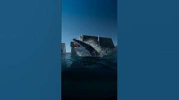 How Did This Shark Get So Close to the House?