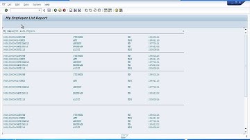 SAP ABAP Training - Debugging Your Programs Part 2