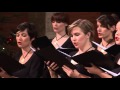 Shchedryk (Ščedrik) _  Chamber Choir Ivan Filipovic Zagreb (arr. Leontovich)