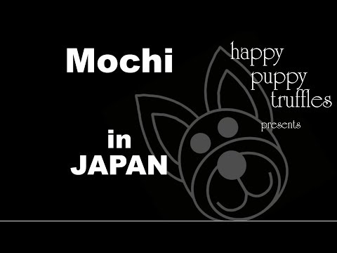 Mochi in Japan - Japanese VLOG
