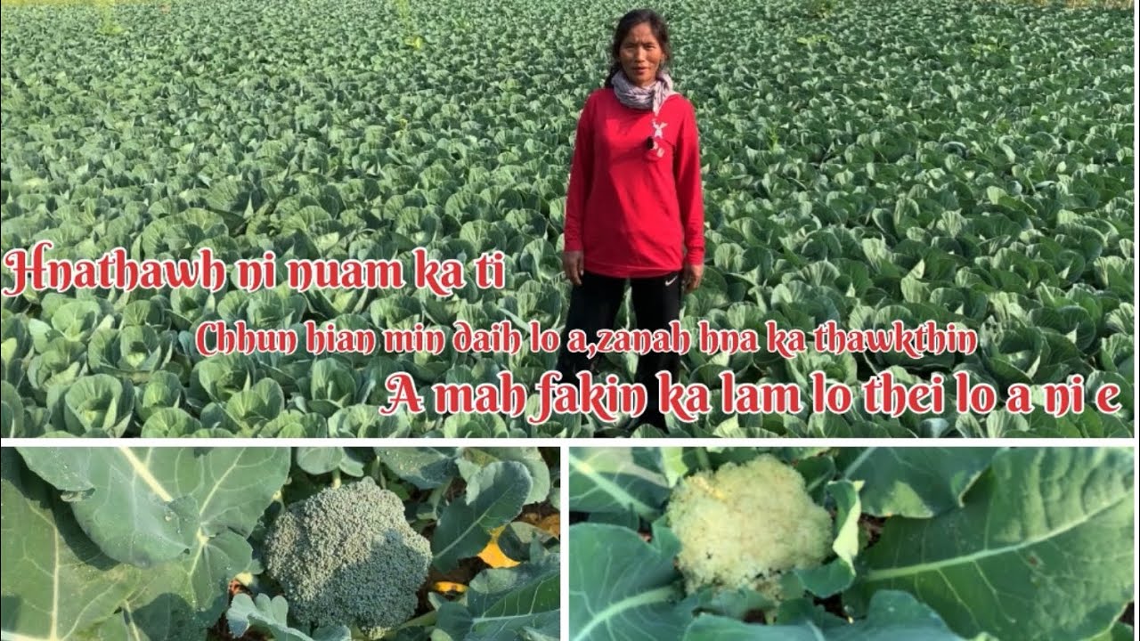 Chhun hian min daih lova,zanah hna ka thawk thin-Pi Hluti Serchhip Zawlpui