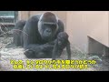 ゲンキ誕生日動画2021