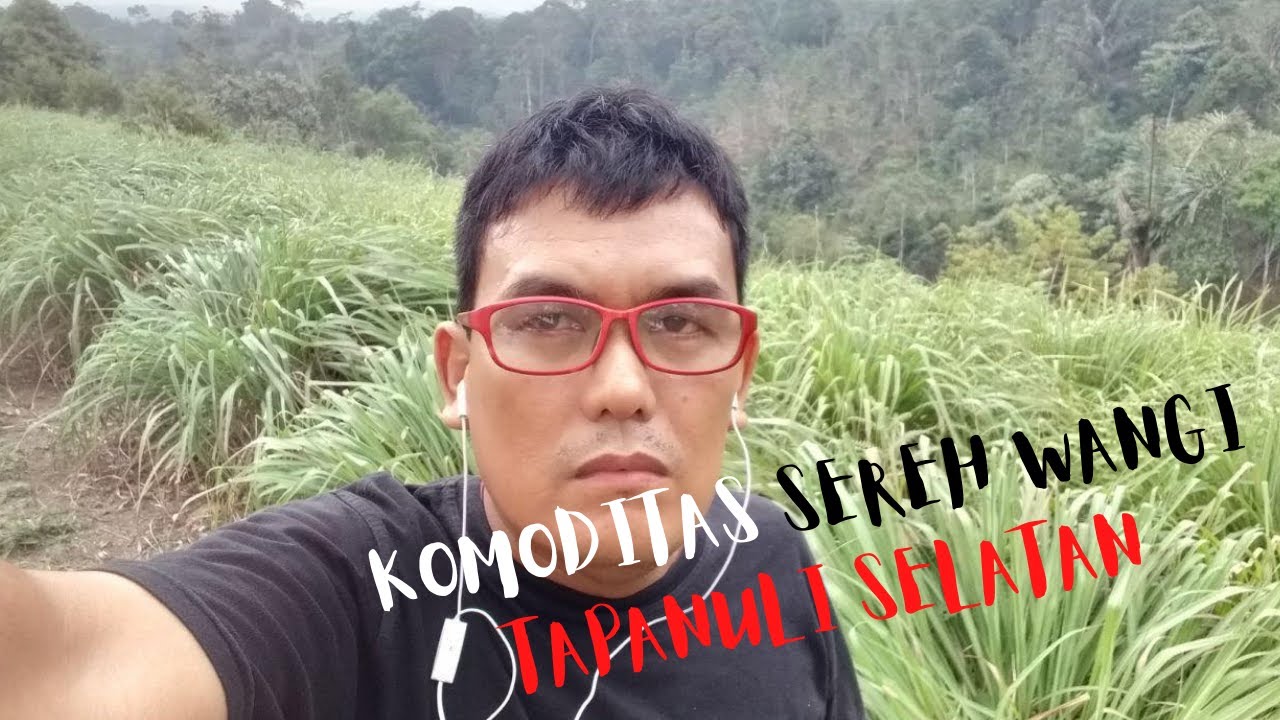 Viral...Komoditas Sereh Wangi | Petani Cerdas