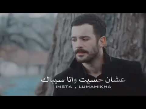 شيماء المغربي بفكر فيك بكل مافيا انا عايزاك حالات واتساب لايك 00 00