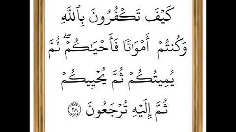 سورة البقرة - من الآية 27 إلى الآية 28 - بصوت القارئ خليفة الطنيجي - رواية حفص عن عاصم
