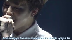 BTS ~ LET ME KNOW LIVE (Indo Sub)  - Durasi: 4:35. 