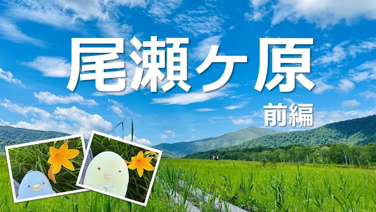 すみっコぐらし【尾瀬ハイキング 前編】鳩待峠～山ノ鼻～牛首周辺をハイキング