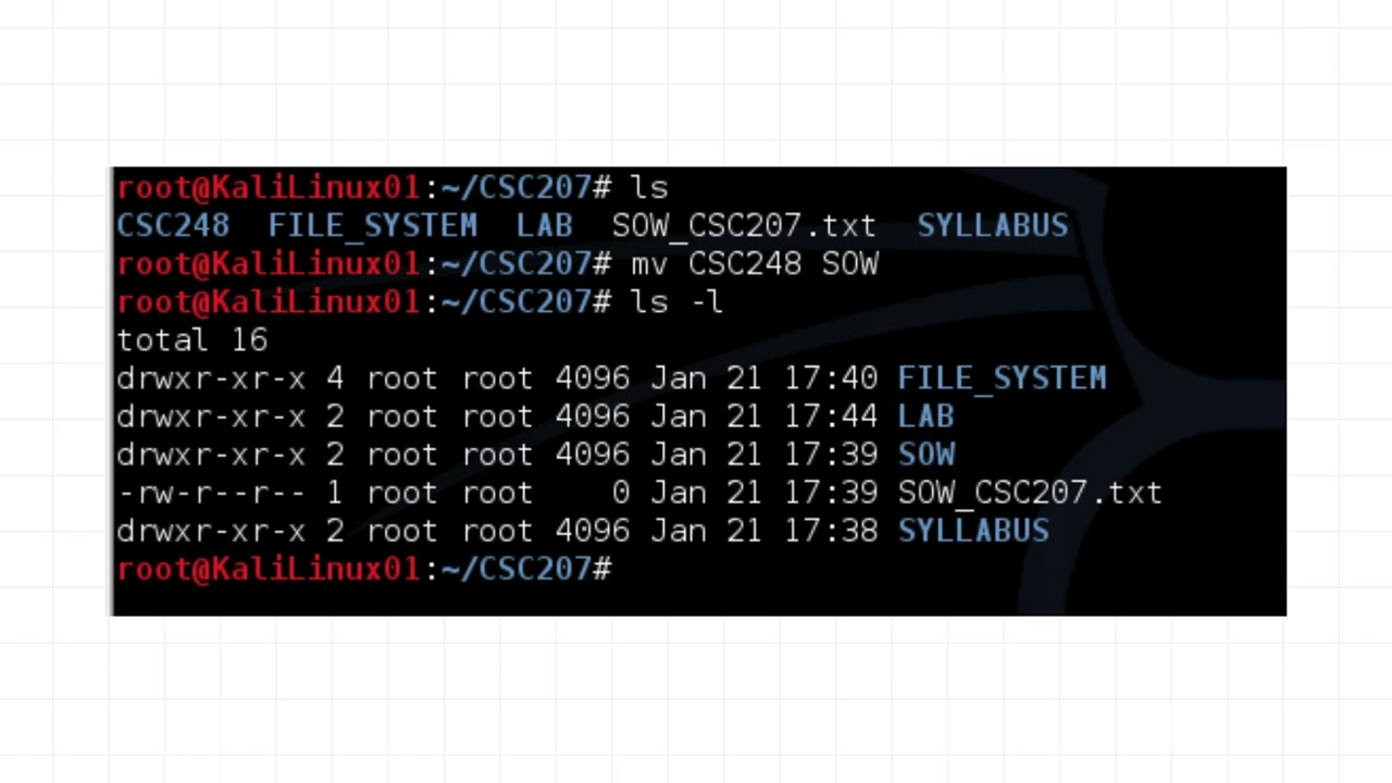 AMNEE SUMAYYAH 3D LINUX CMD MANAGEMENT