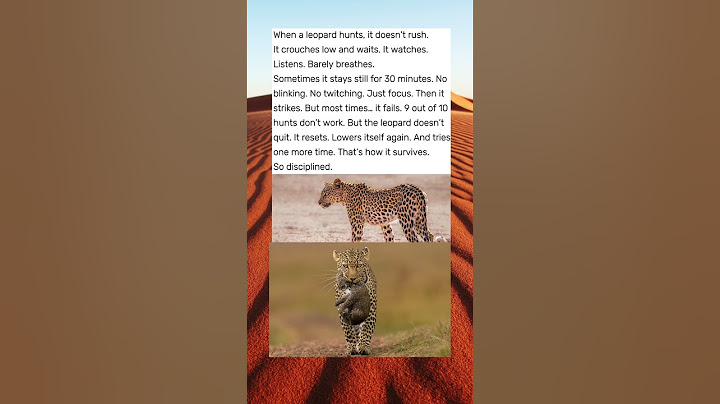 The Leopard Fails 9 Times! But Never quits! #huntingmonsters