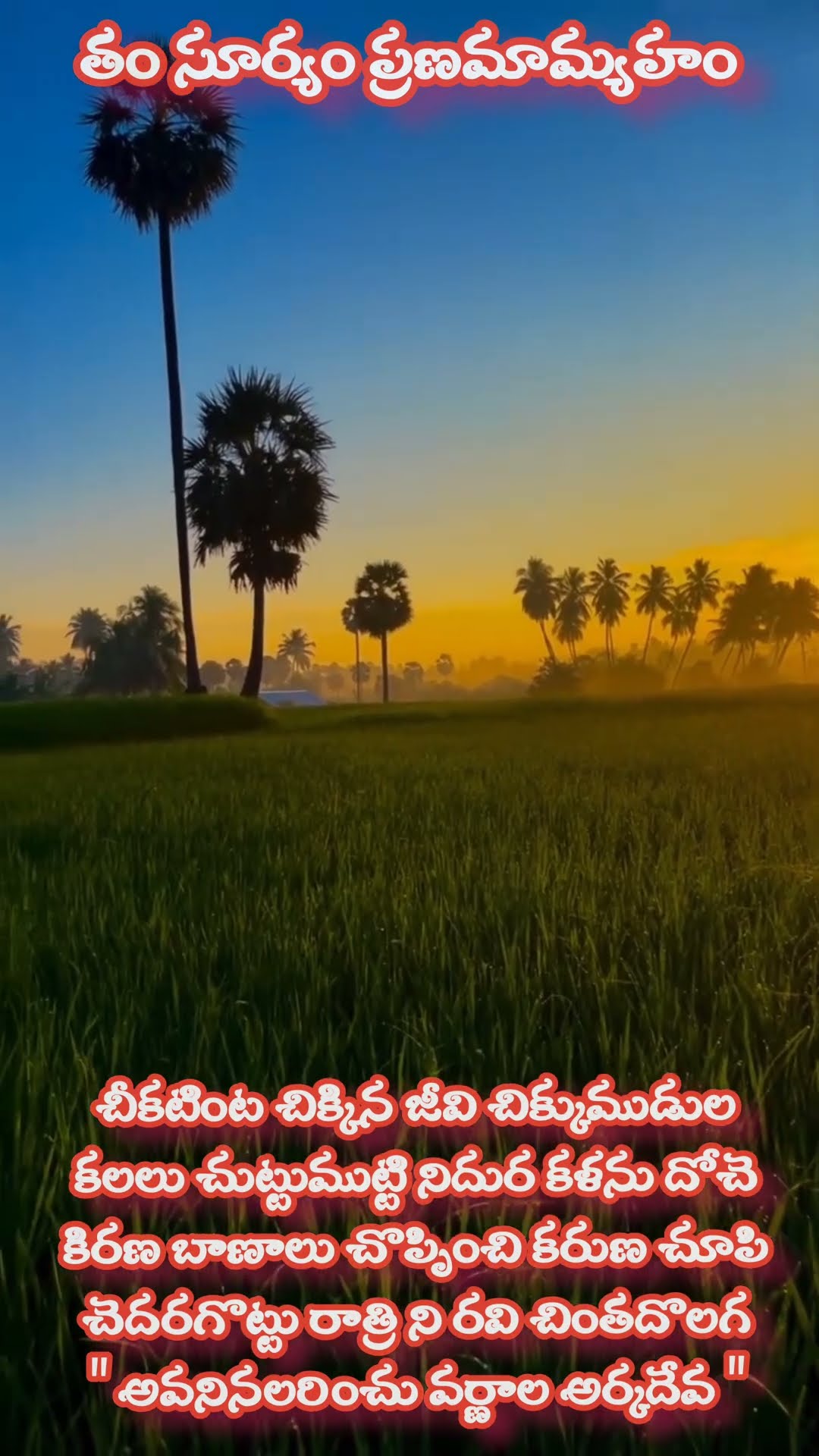 తం సూర్యం ప్రణమామ్యహం - ShareChat