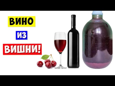 ВИНО из ВИШНИ / Вишневое Вино / ПРОСТОЙ РЕЦЕПТ! Cherry Wine